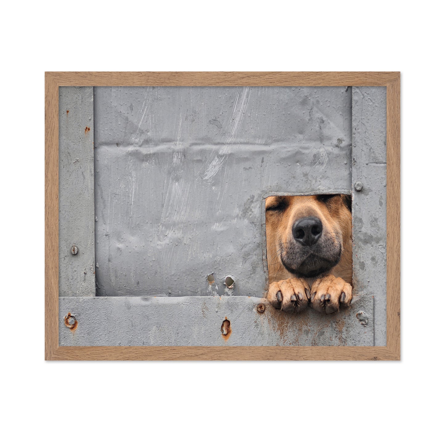 Benji's Window