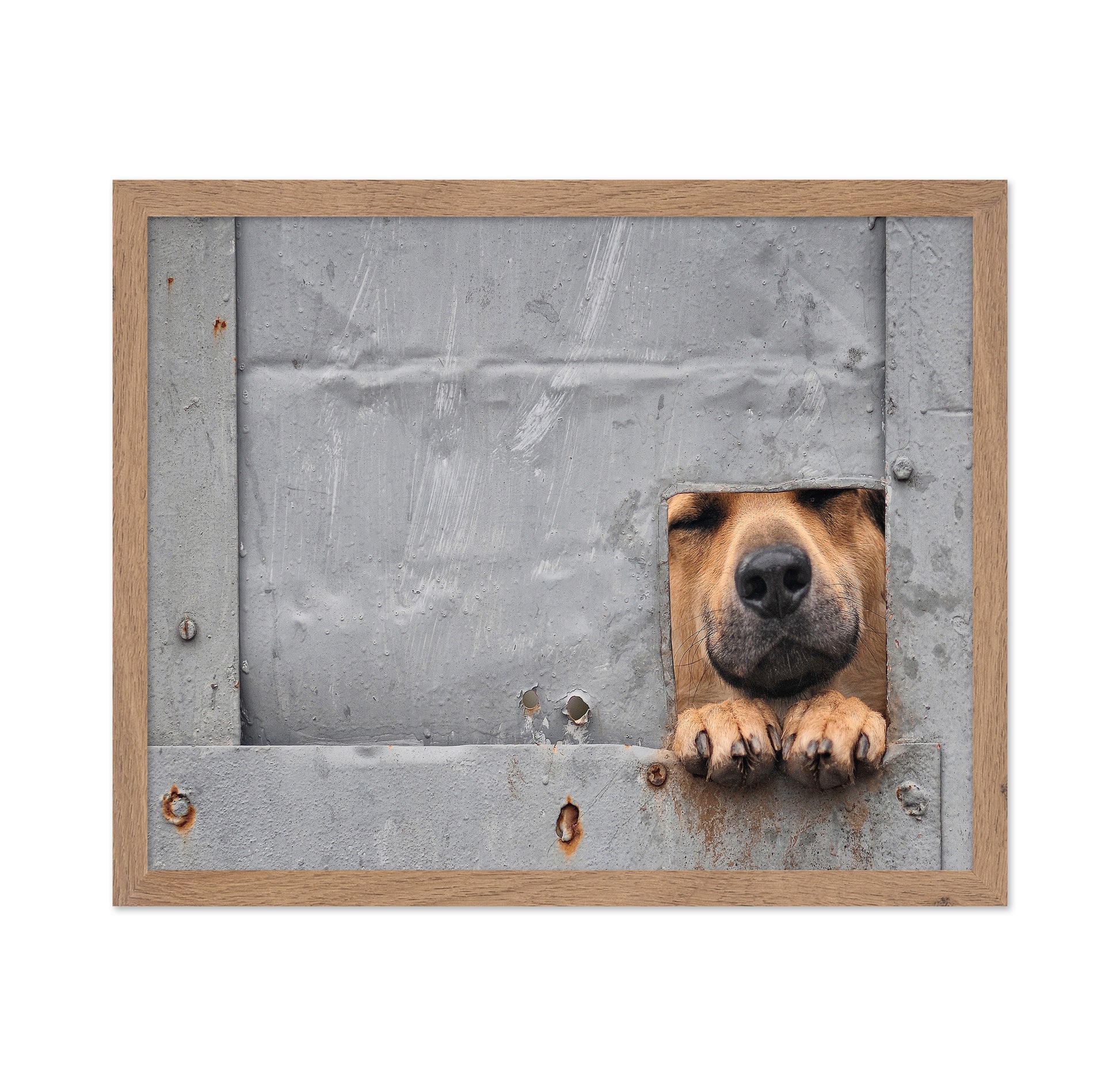 Benji's Window