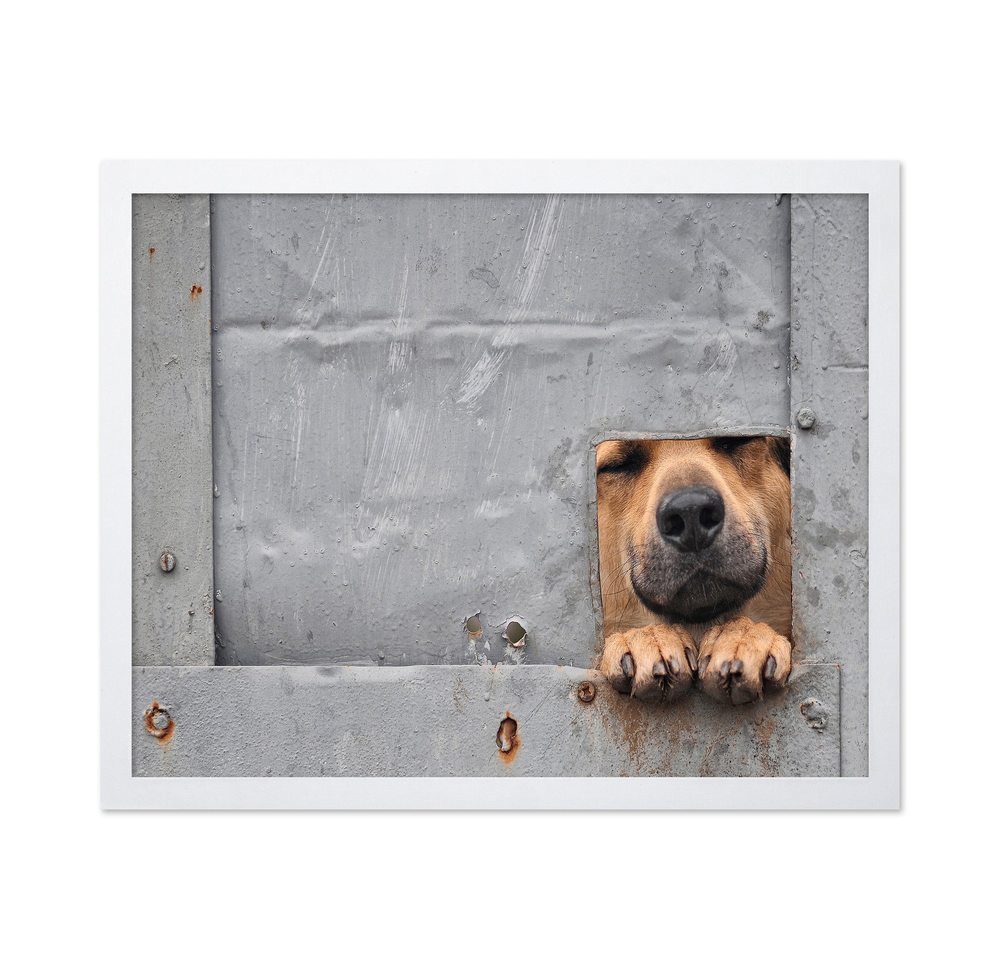 Benji's Window