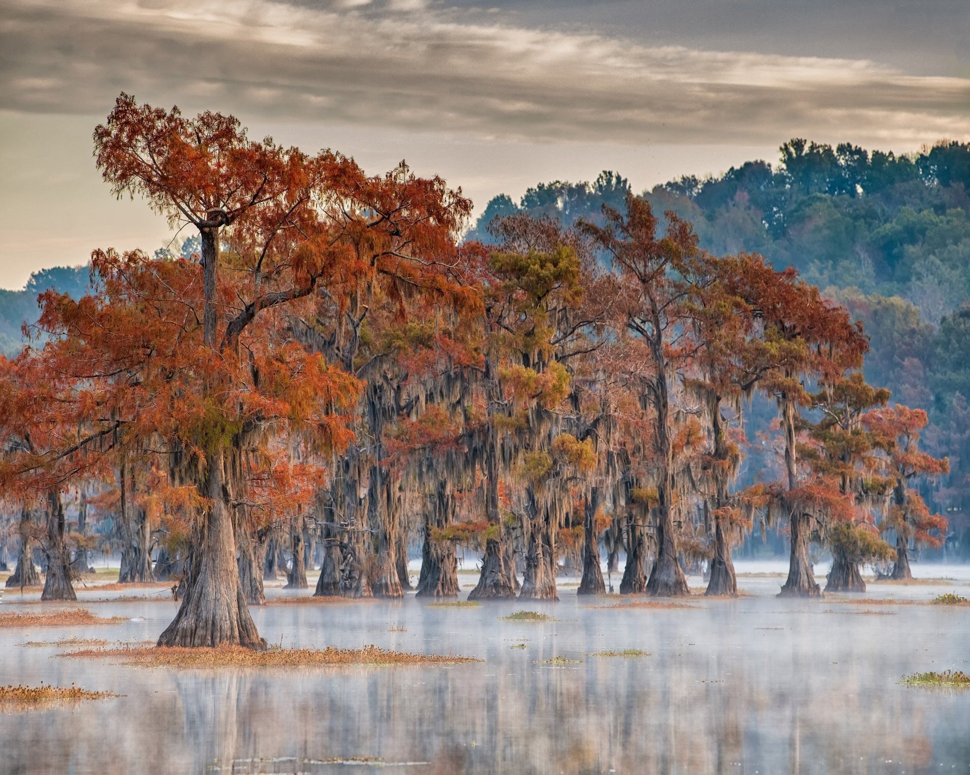 Caddo Lake In Autumn