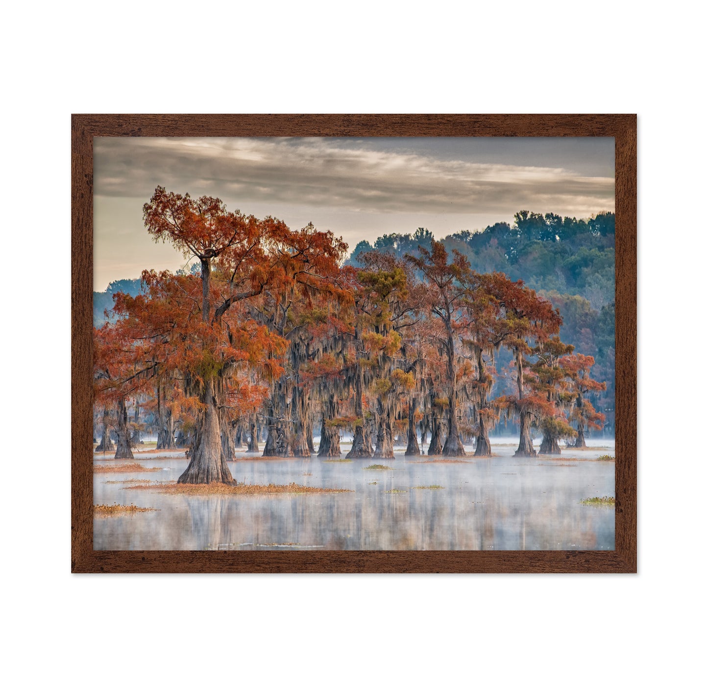 Caddo Lake In Autumn