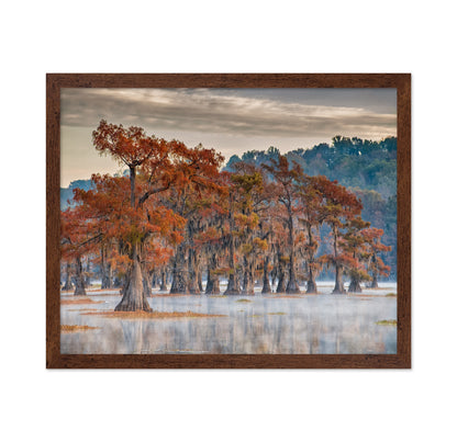 Caddo Lake In Autumn
