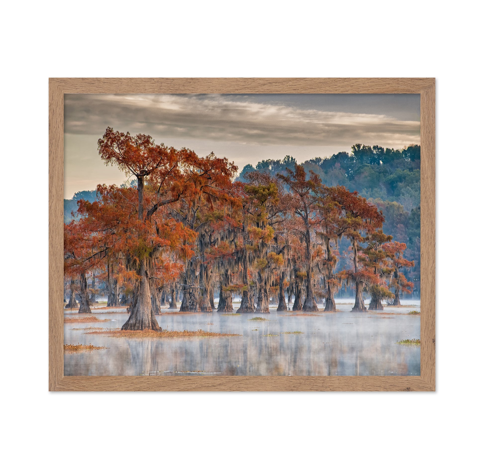 Caddo Lake In Autumn