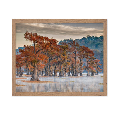 Caddo Lake In Autumn