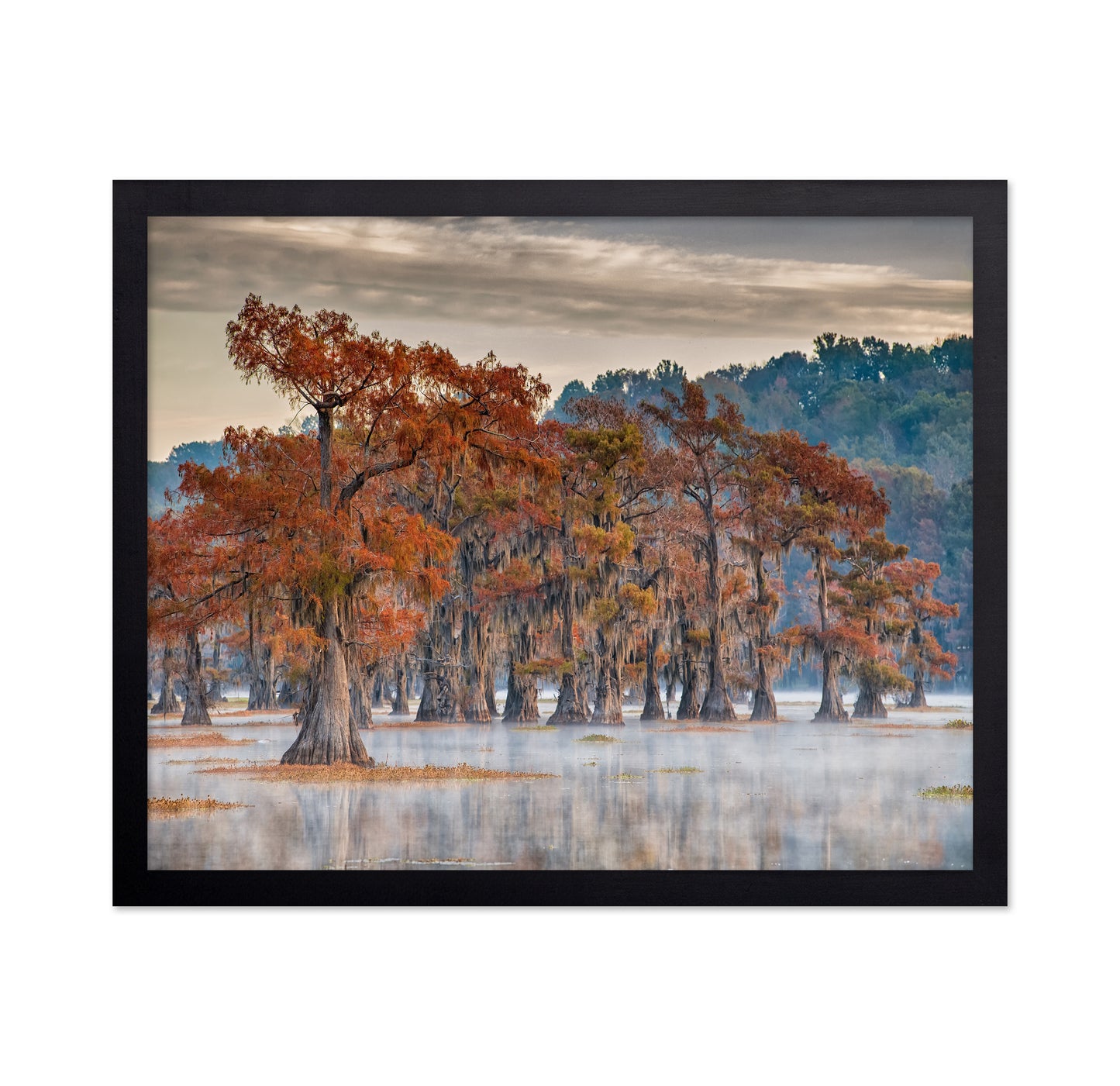 Caddo Lake In Autumn