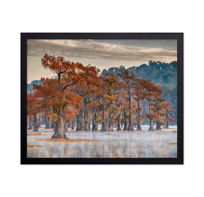Caddo Lake In Autumn