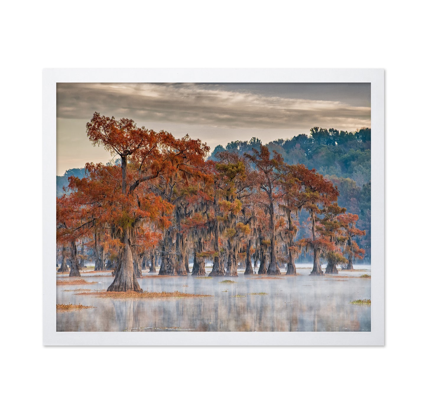 Caddo Lake In Autumn