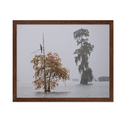 A Cormorant In The Mist