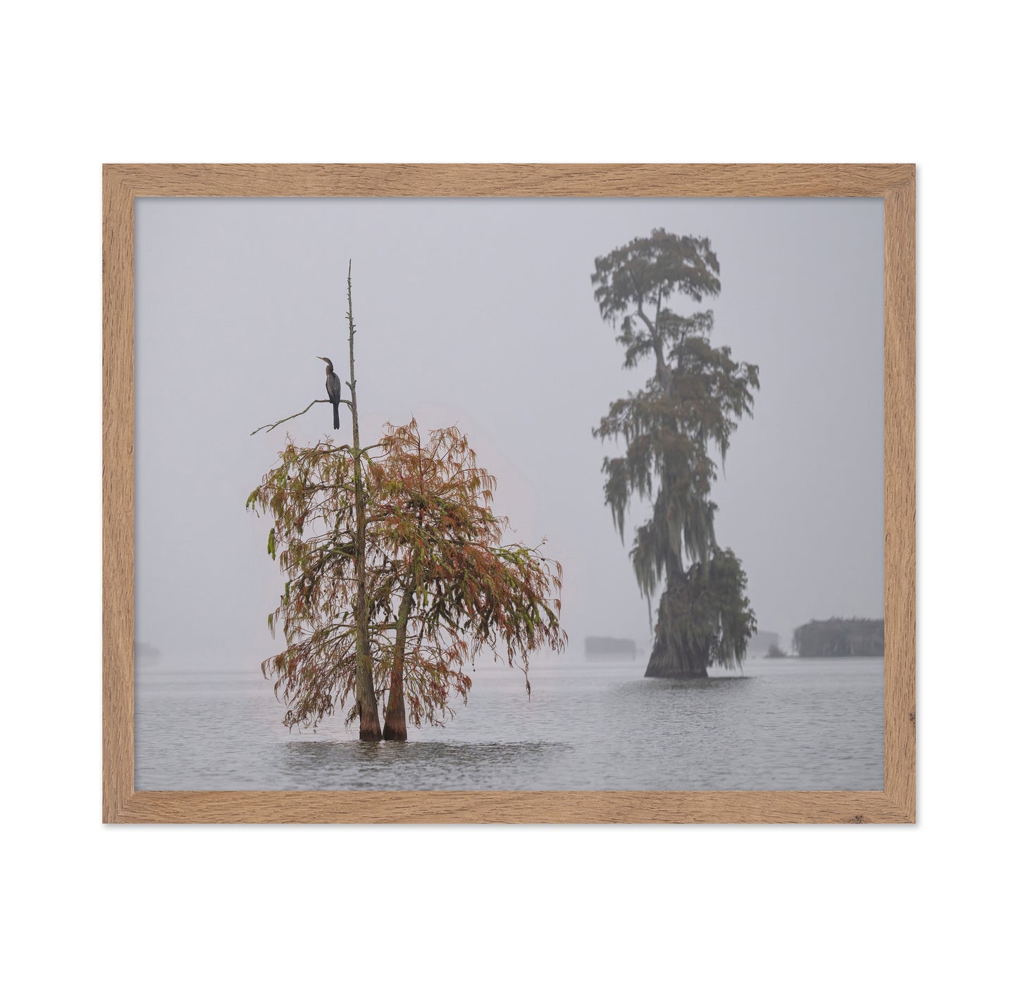 A Cormorant In The Mist