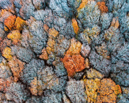 The End of Autumn