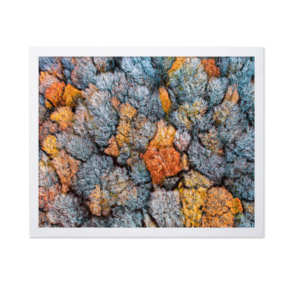 The End of Autumn