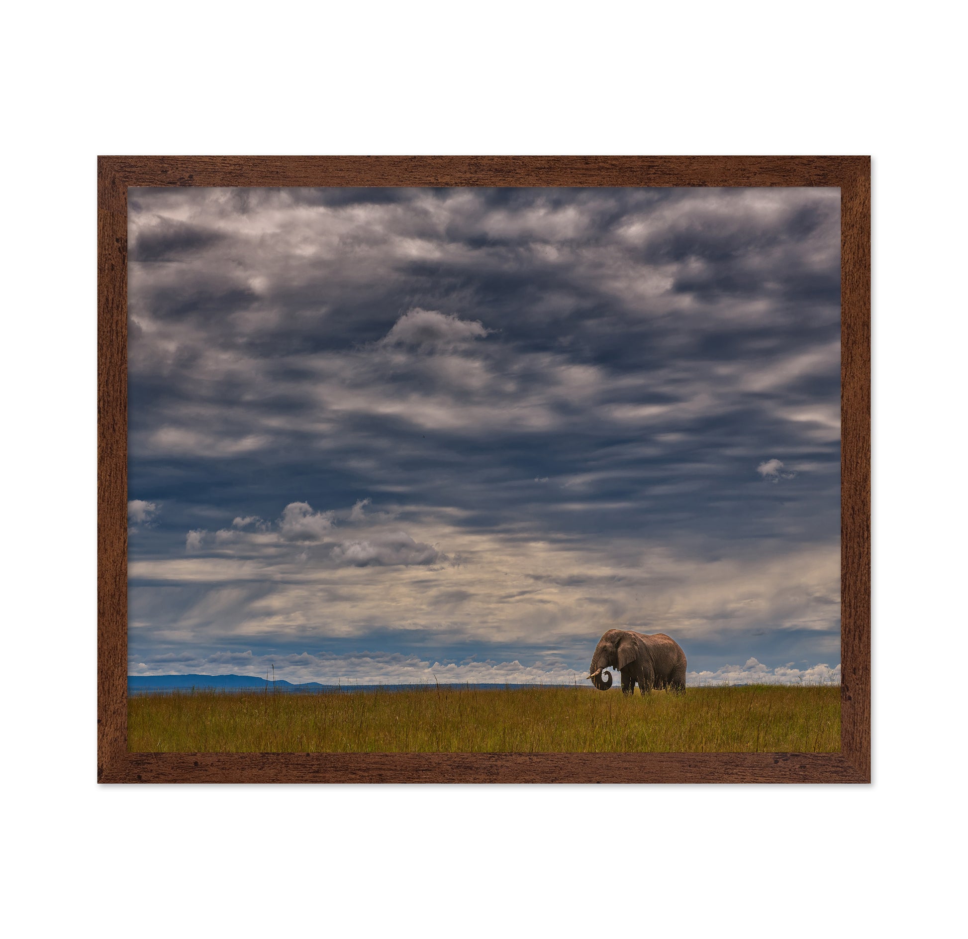 Under The African Sky