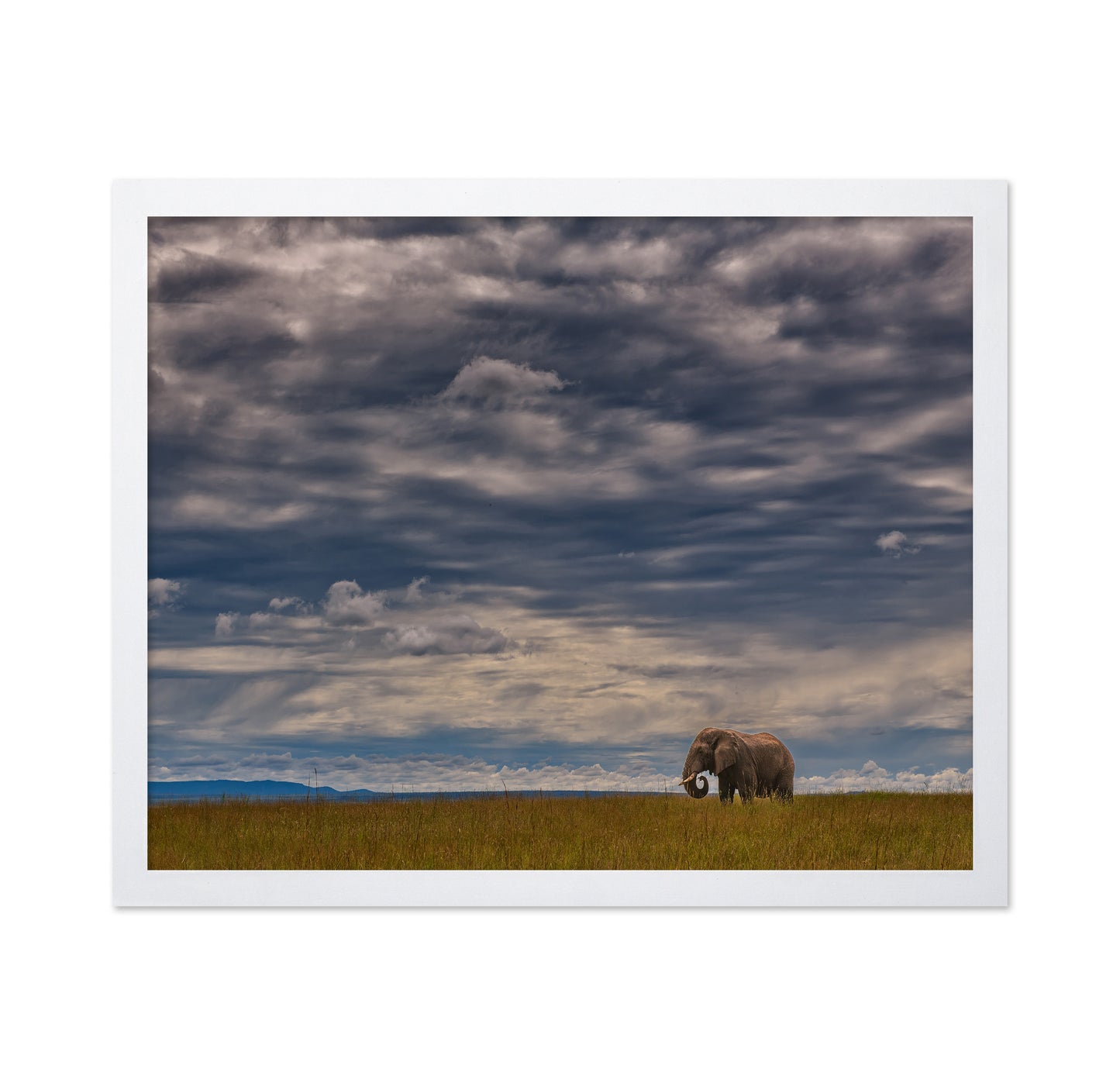 Under The African Sky