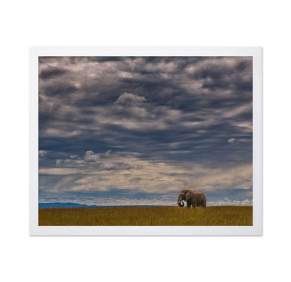 Under The African Sky