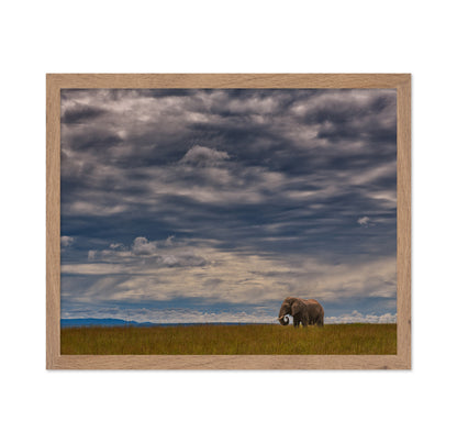 Under The African Sky