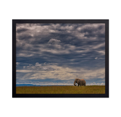 Under The African Sky