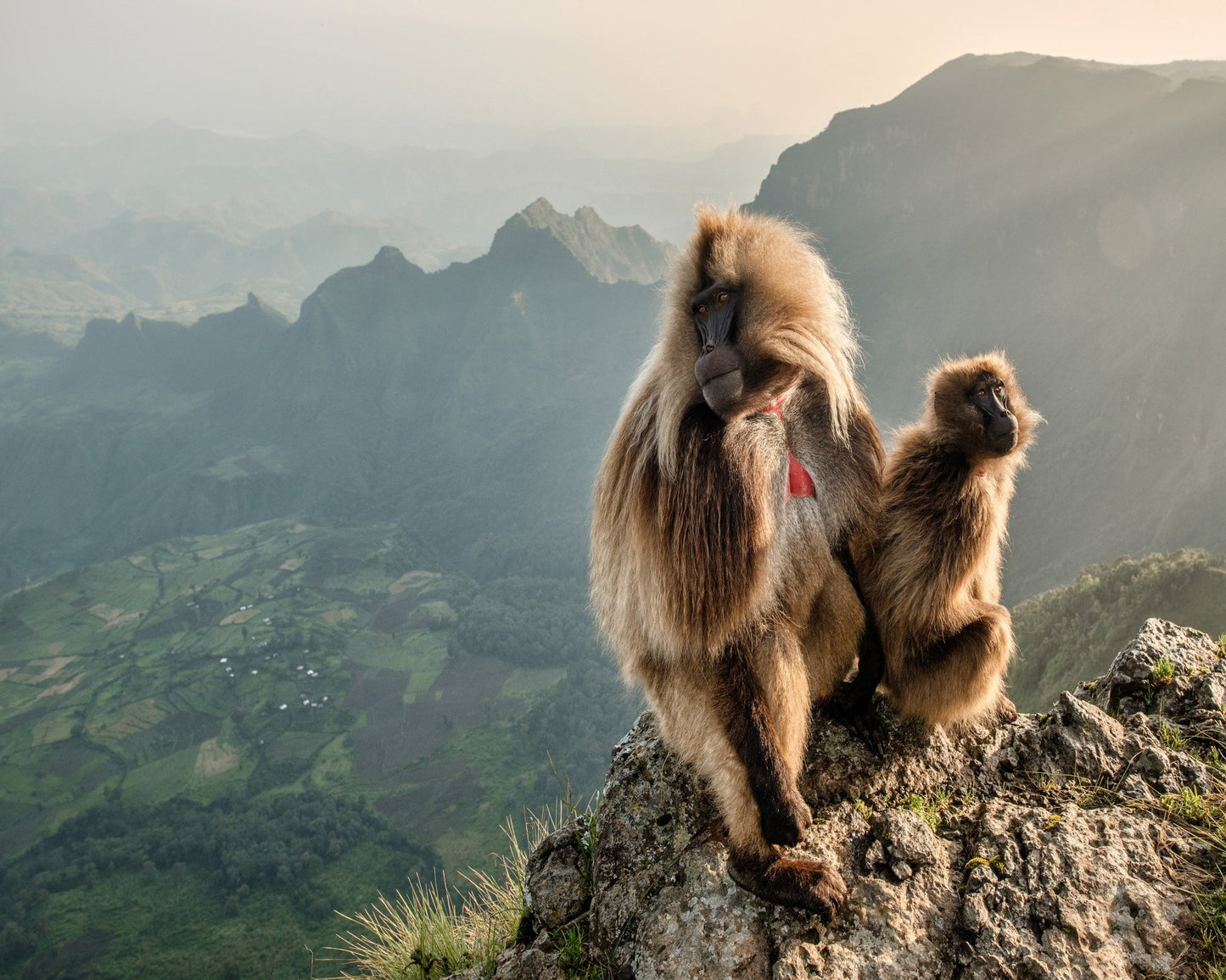 ouple On The Edge