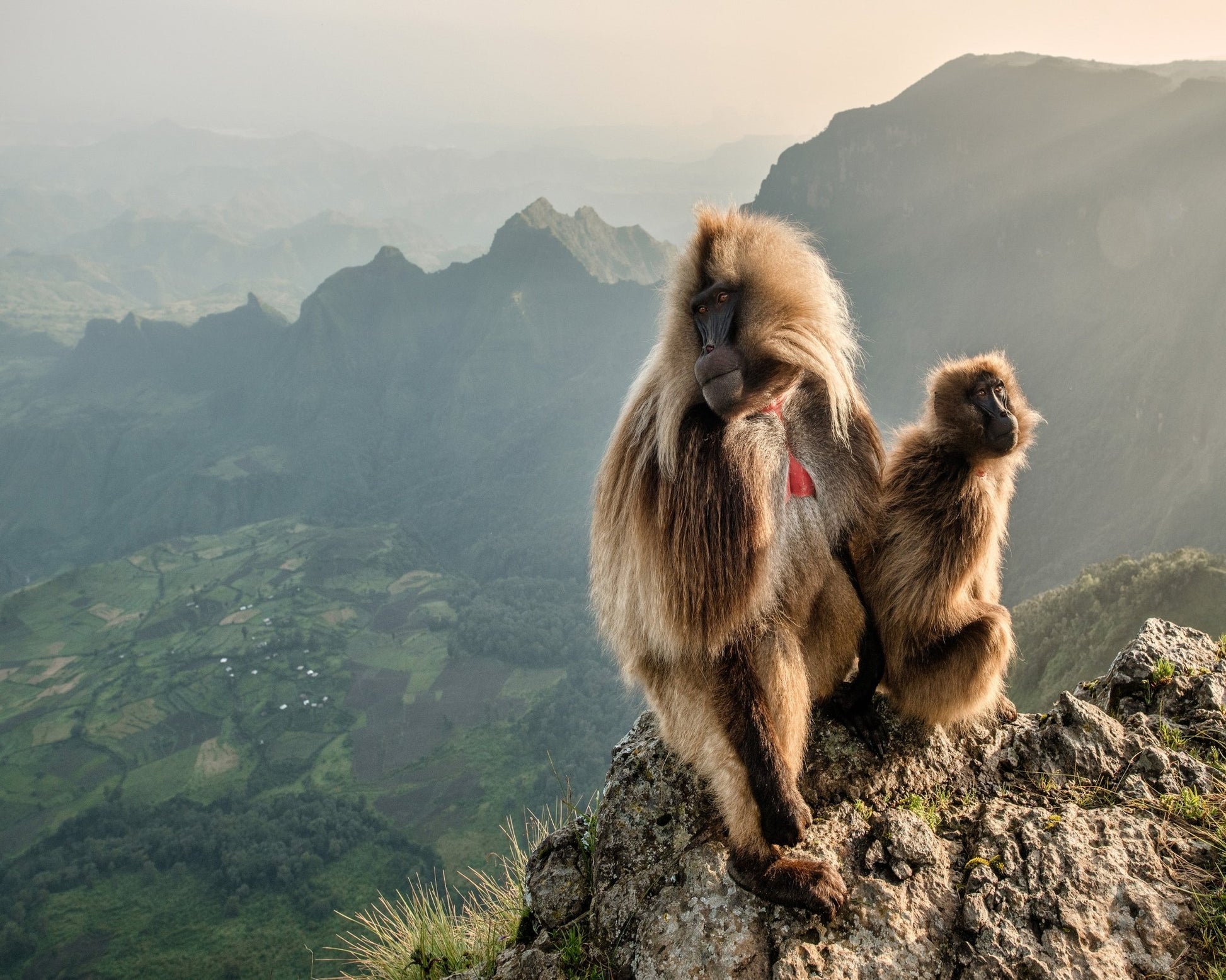 ouple On The Edge