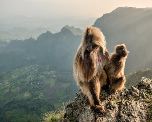 ouple On The Edge