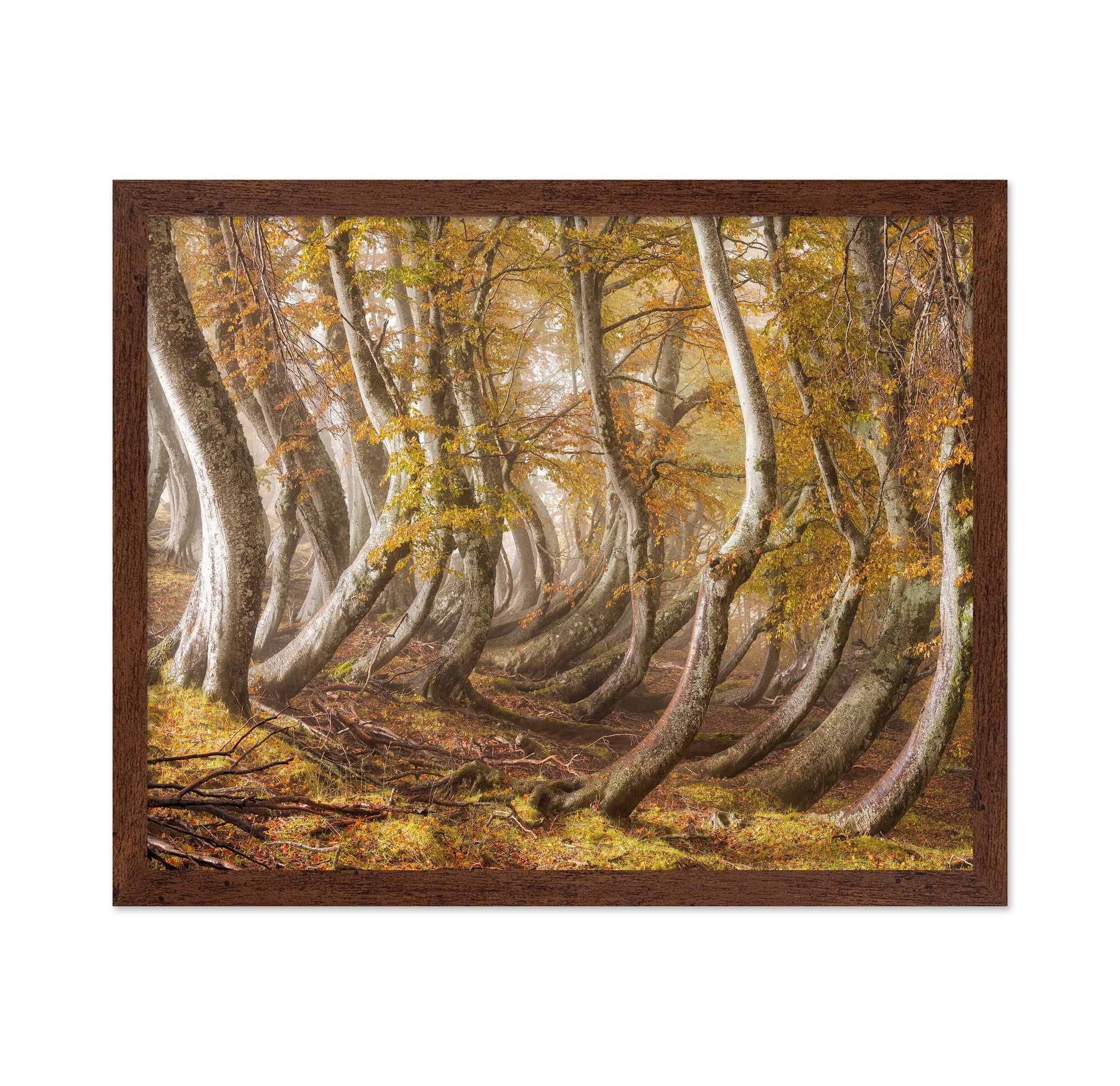 The Wooden Army