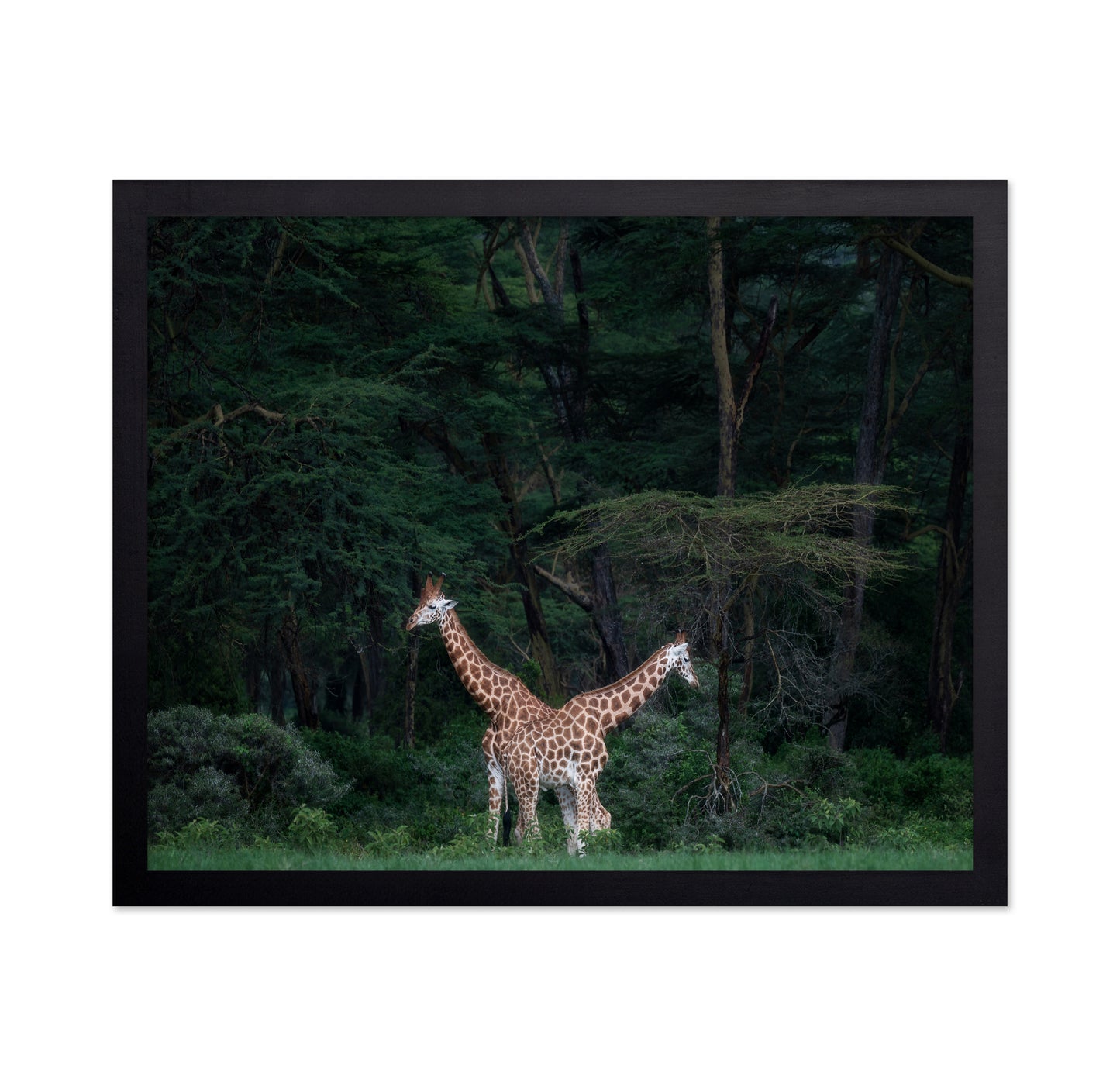 Necks Crossing