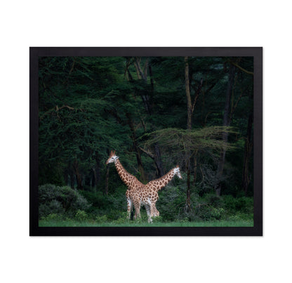 Necks Crossing