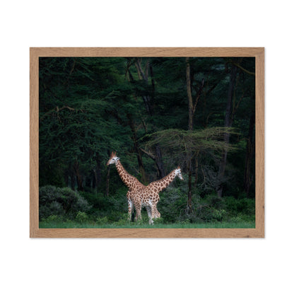 Necks Crossing