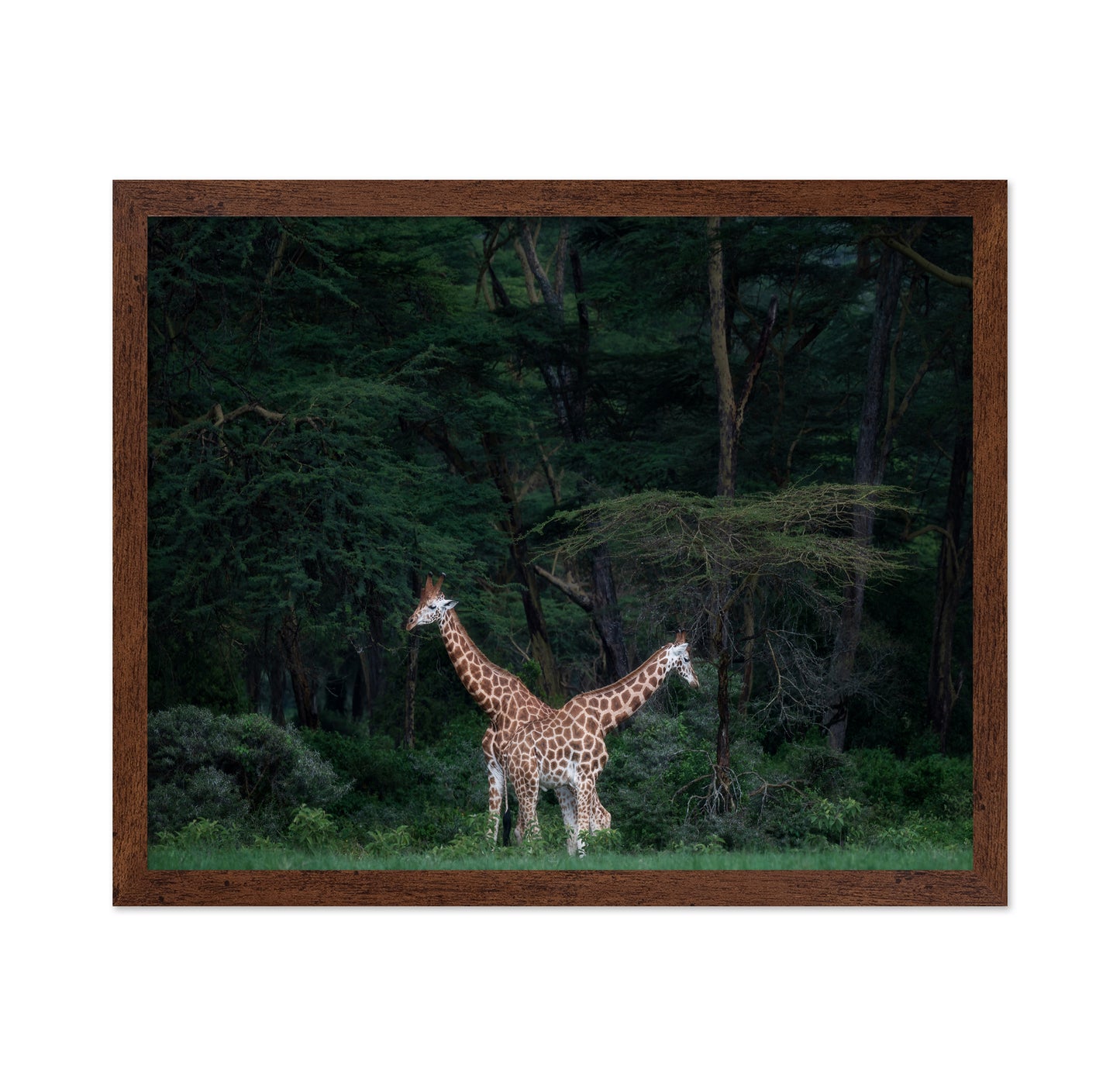 Necks Crossing