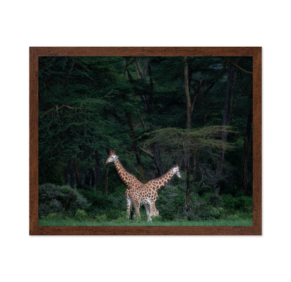 Necks Crossing