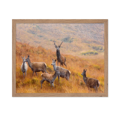 The Guardian of the Moorland