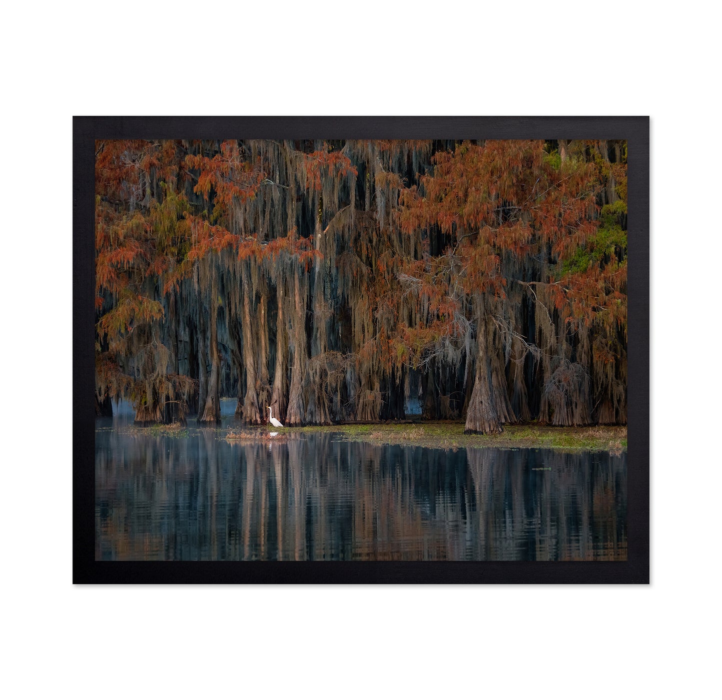 The Swamp In Autumn