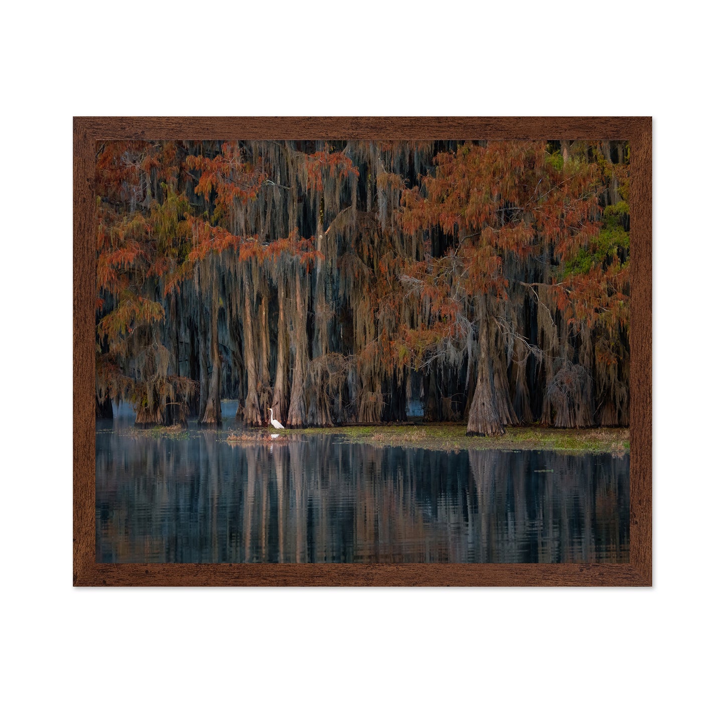 The Swamp In Autumn