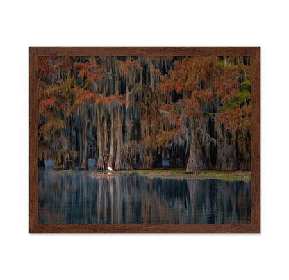 The Swamp In Autumn