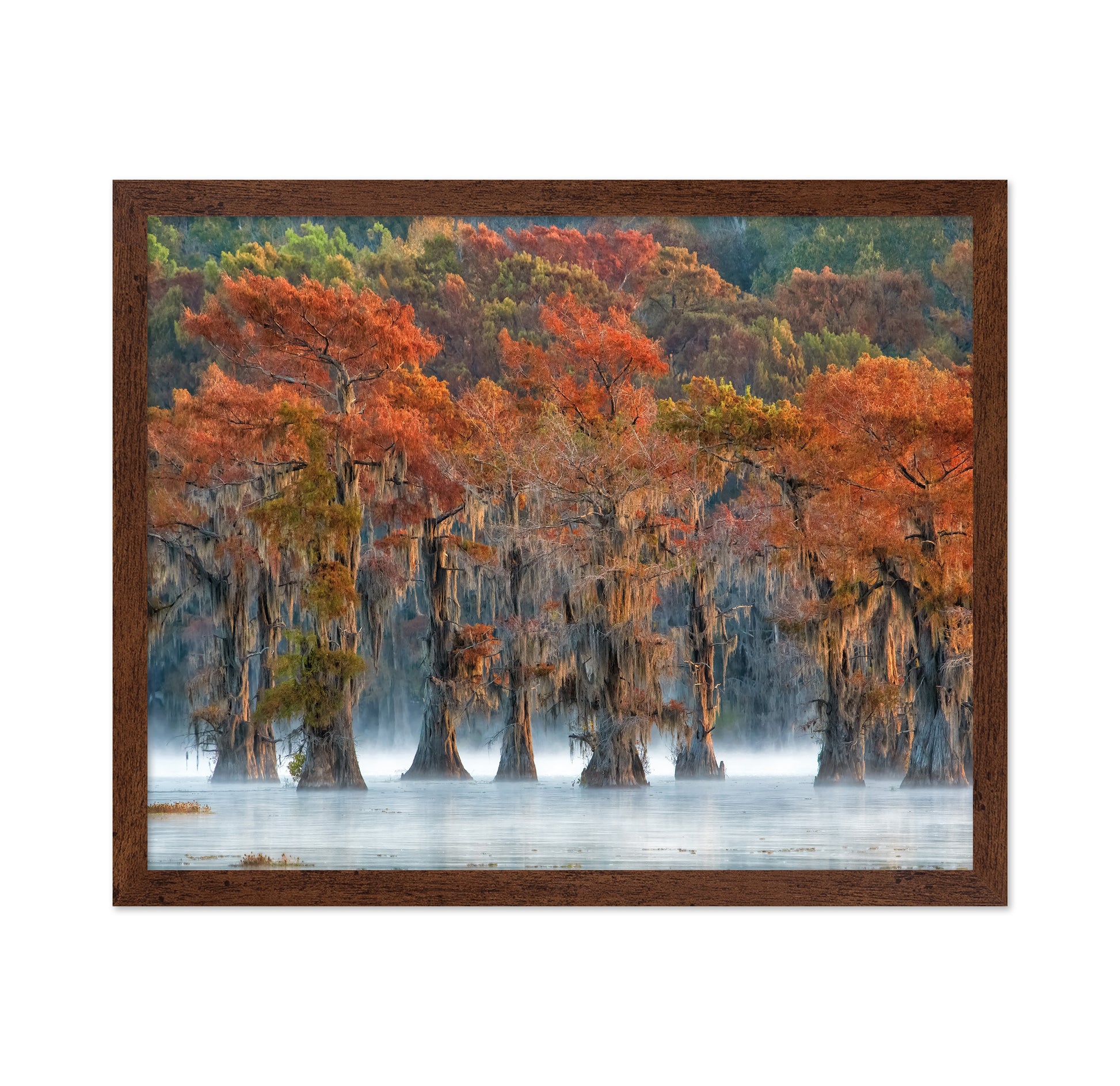 The Colors Of Autumn