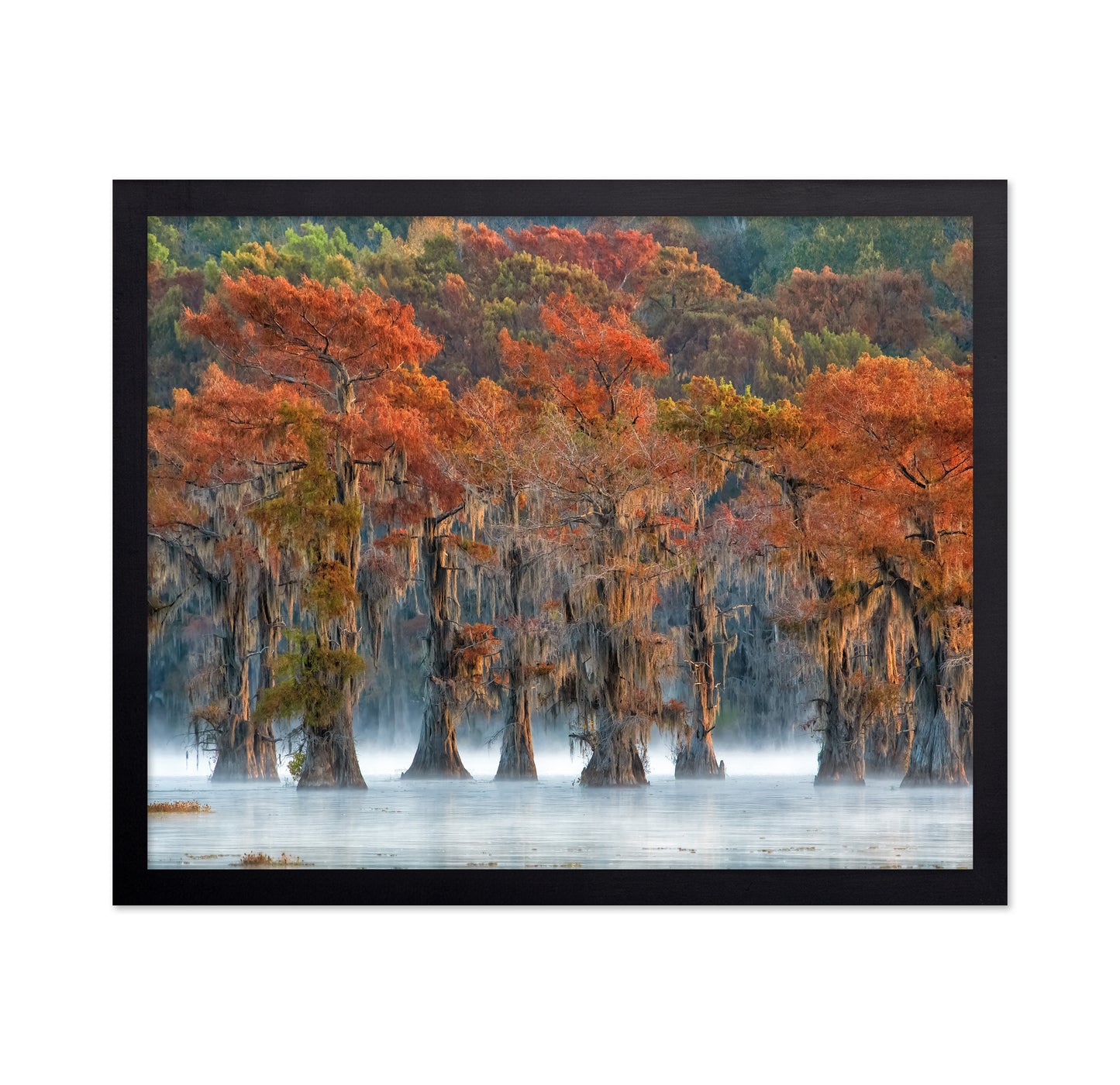 The Colors Of Autumn