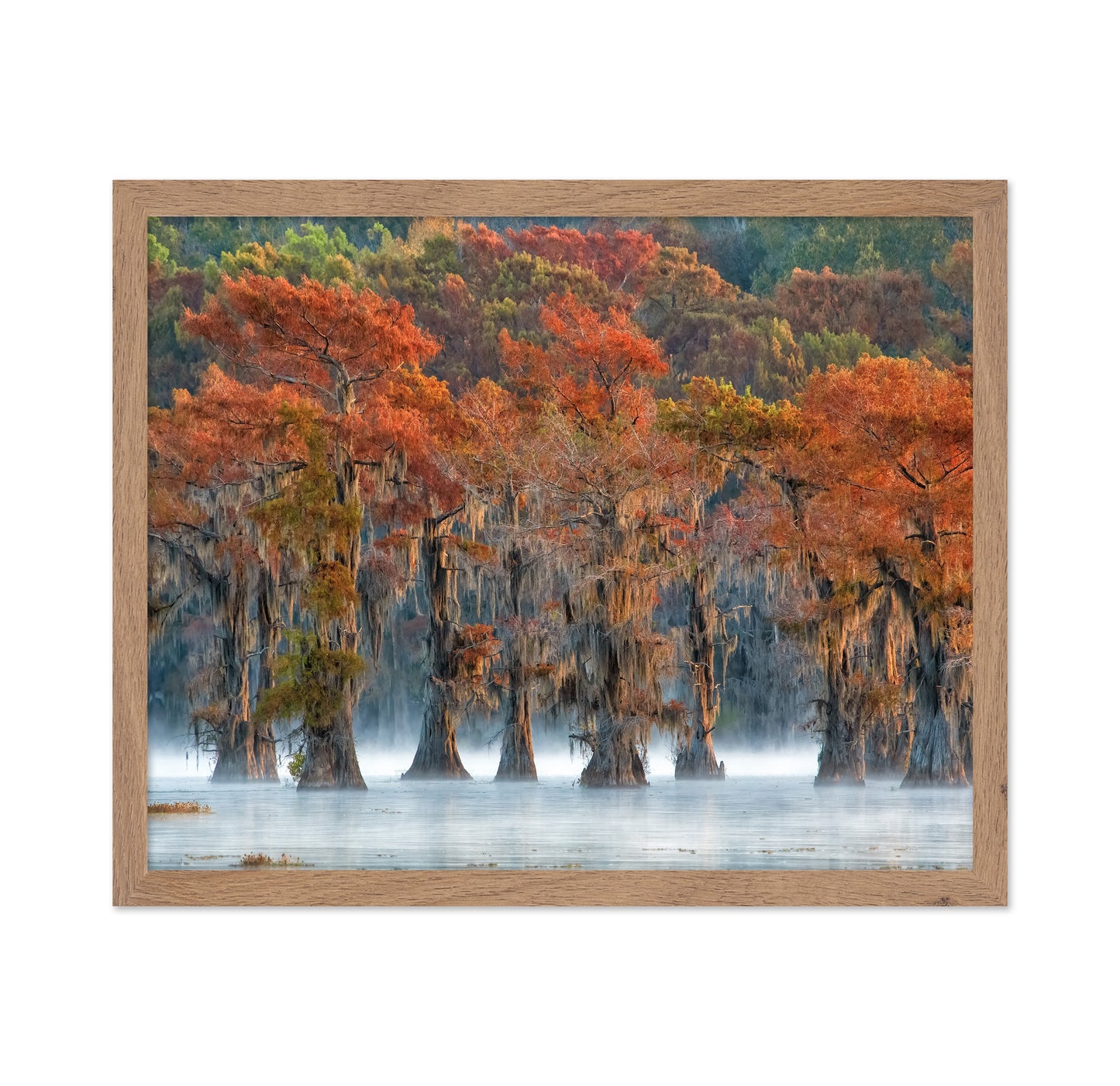 The Colors Of Autumn