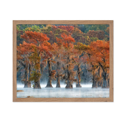 The Colors Of Autumn
