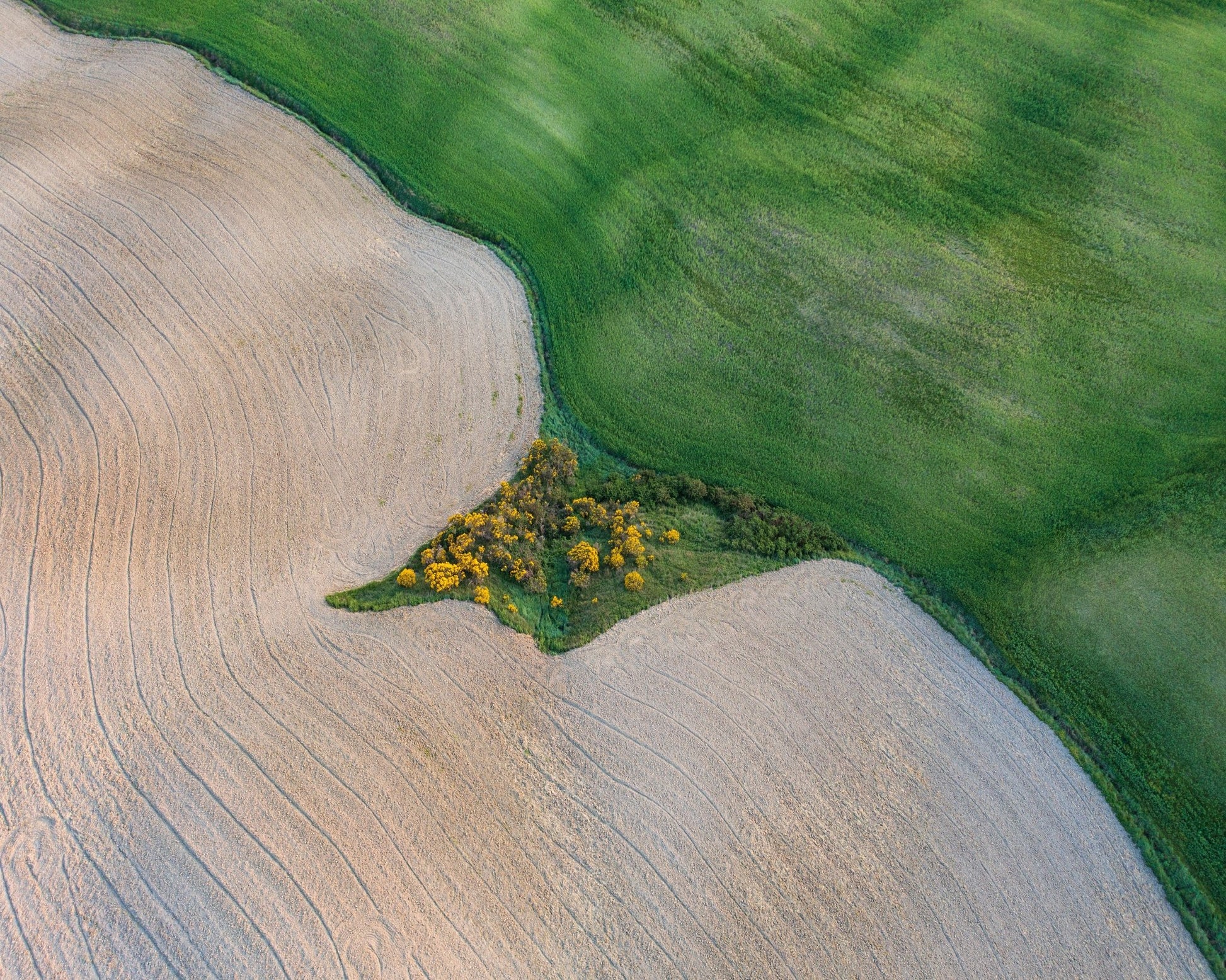 The Land of Tuscany
