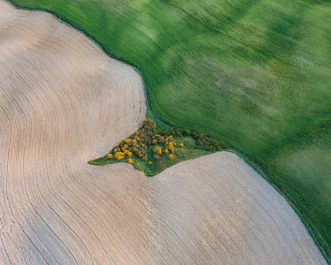 The Land of Tuscany