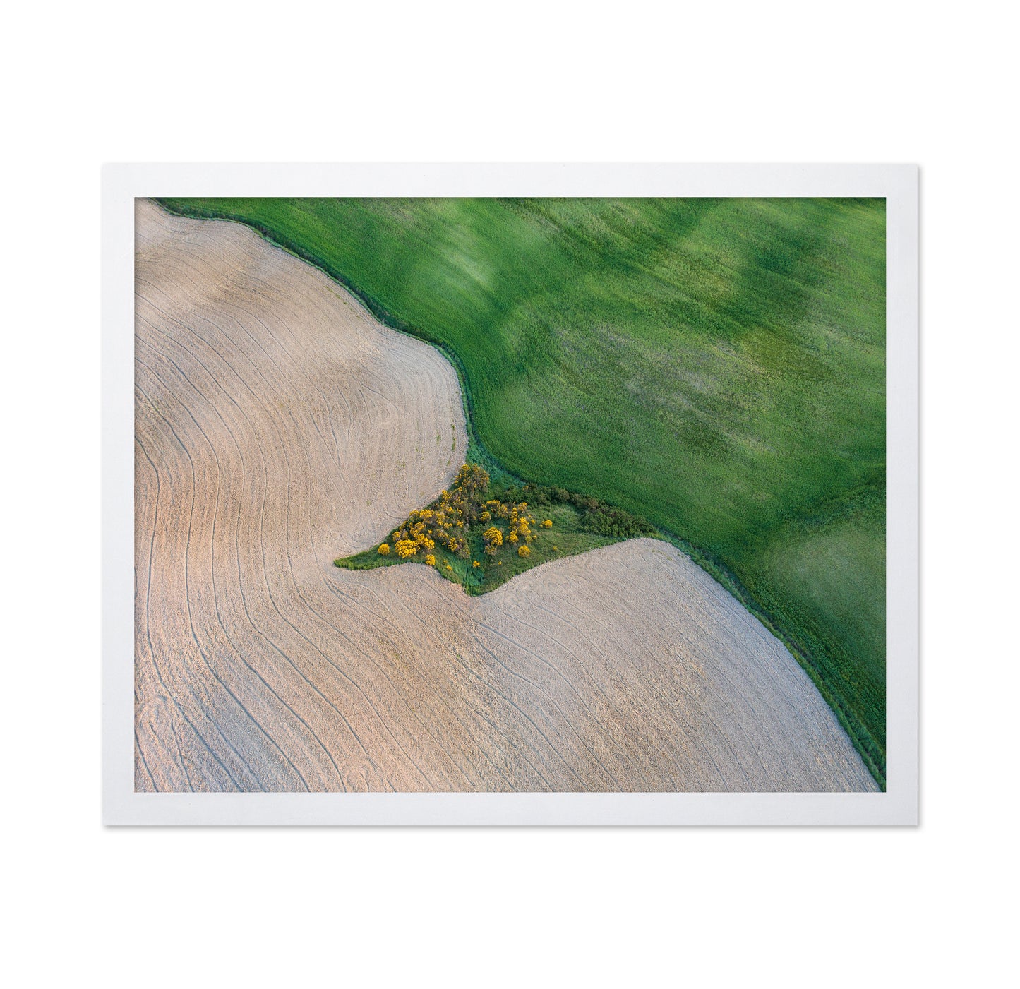 The Land of Tuscany