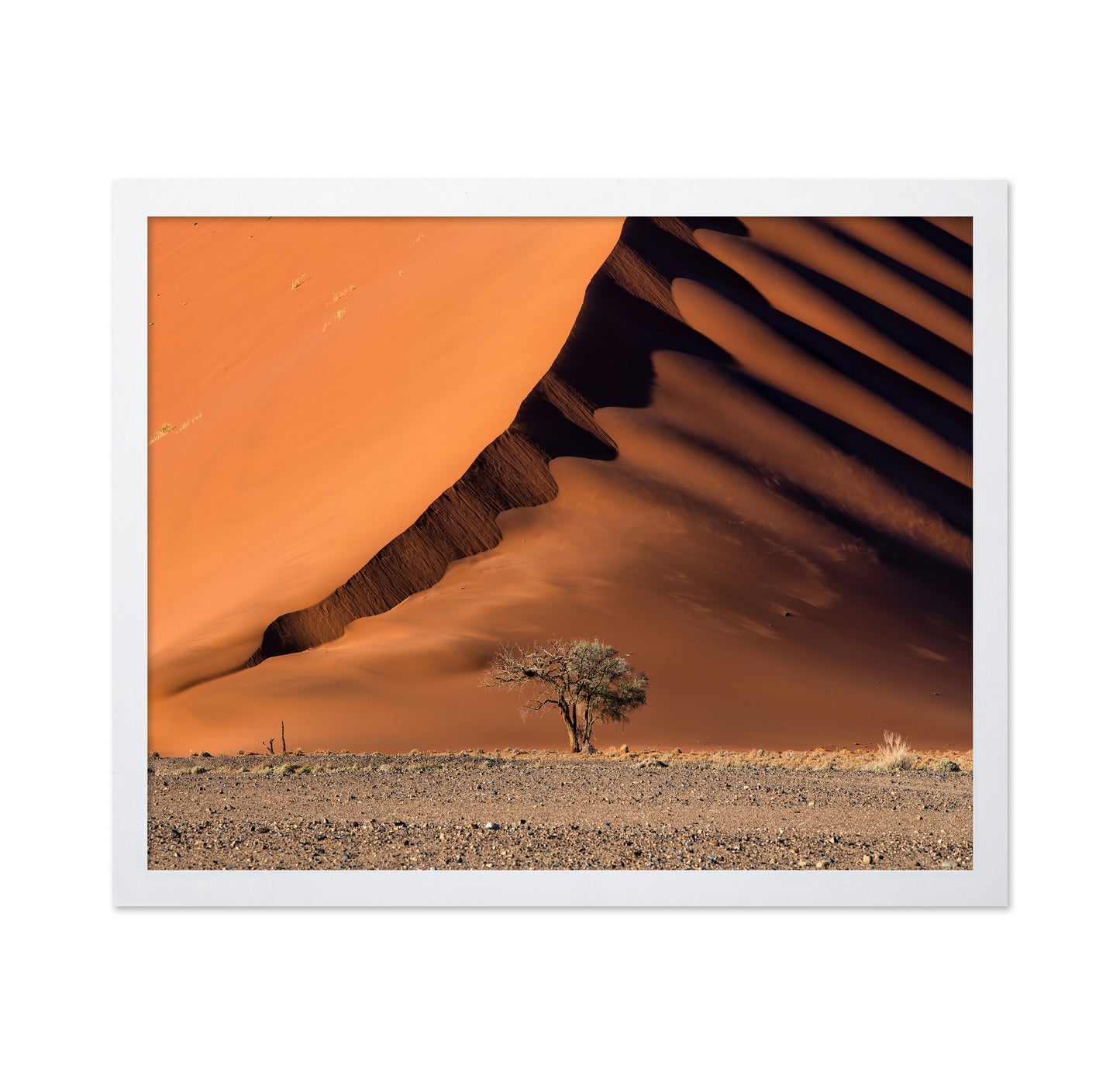 The Dune aAnd The Tree