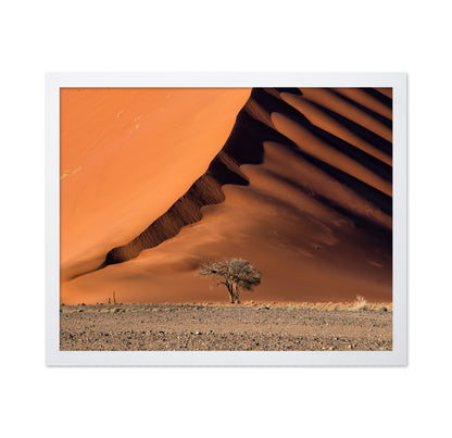 The Dune aAnd The Tree
