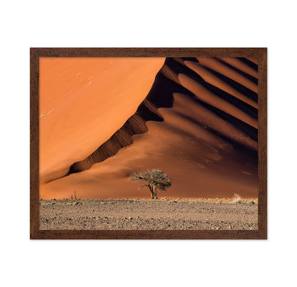 The Dune aAnd The Tree