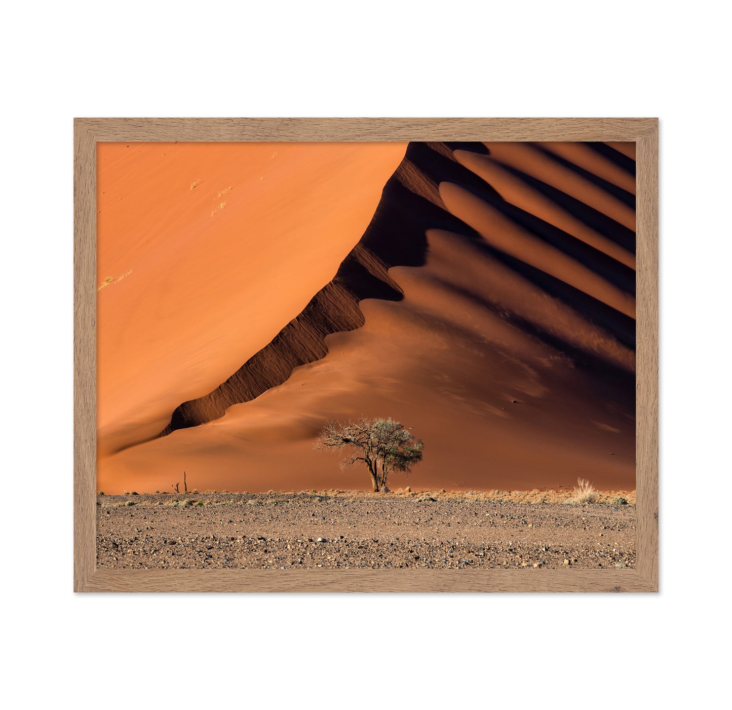 The Dune aAnd The Tree