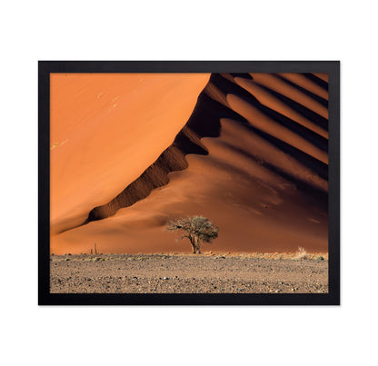 The Dune aAnd The Tree
