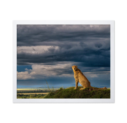 Guardian of the Savanna