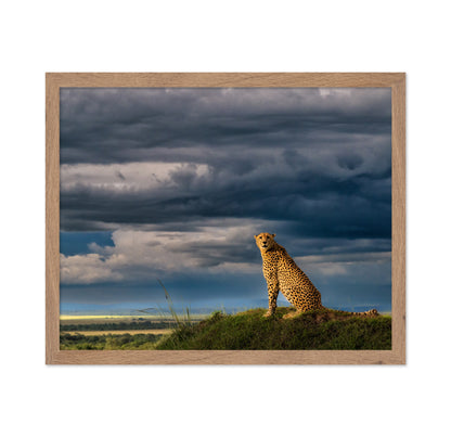 Guardian of the Savanna
