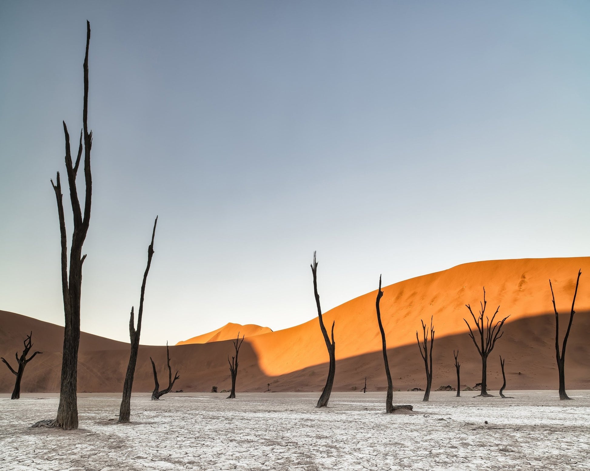 Namibian Desert