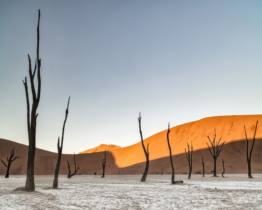 Namibian Desert