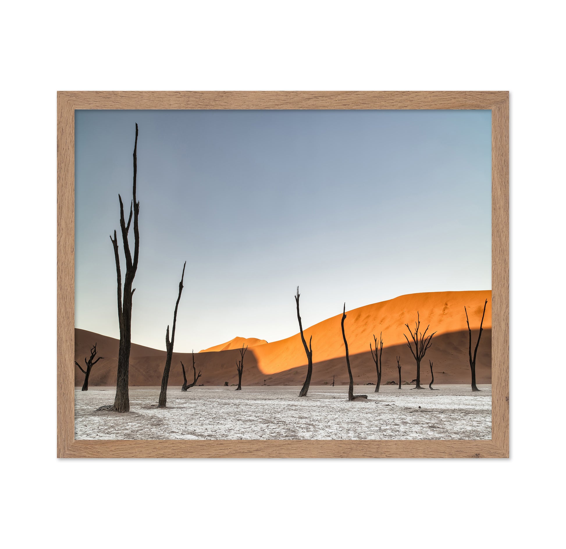 Namibian Desert